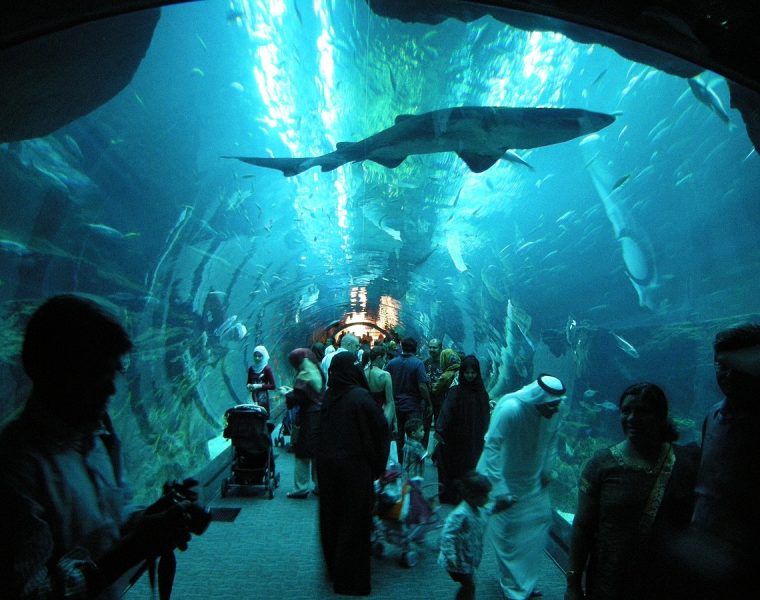 Aquarium and Underwater Zoo Dubai tour by UAE Book A Car